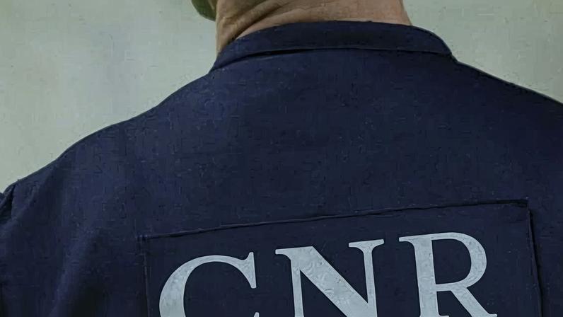 Foi fiscalizado o porão da embarcação, tendo sido detetados quatro recipientes de armazenamento de pescado