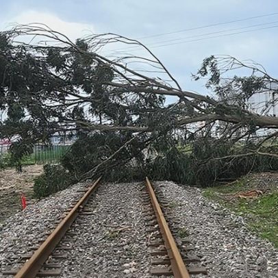 Atropelamento na Avenida Sá Carneiro deixa ferido ligeiro