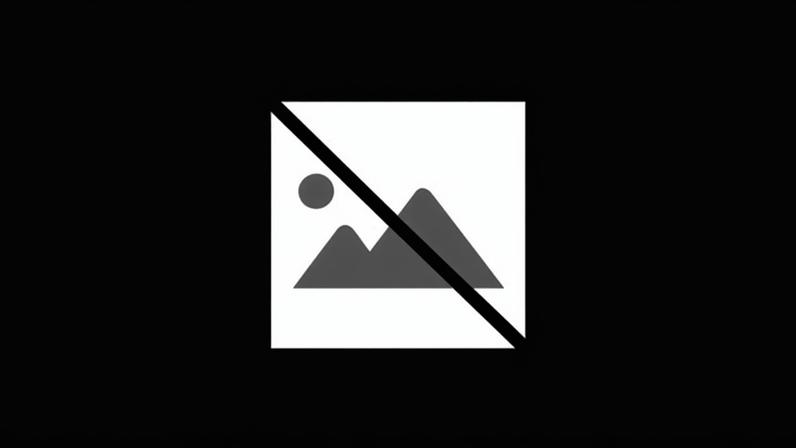 Recolha solidária em Penacova apoia vítimas da Tempestade Kristin na zona de Leiria