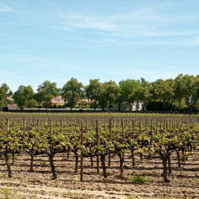 Família explorou imigrantes durante anos, revela investigação