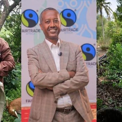 Aquecimento por combustíveis fósseis ameaça colheitas de cafeicultores