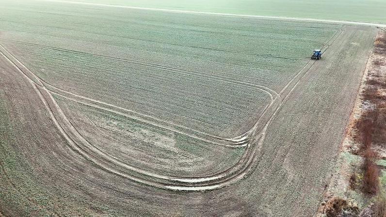 Ver através das nuvens: imagens de radar ajudam agricultores na Polónia