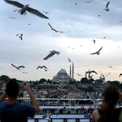 Capitão em Istambul salva gaivota com reanimação após choque com bola