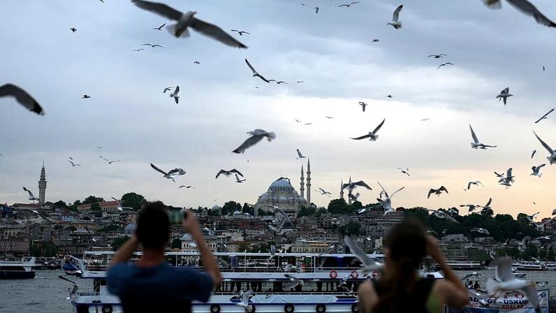 Gaivotas em Istambul