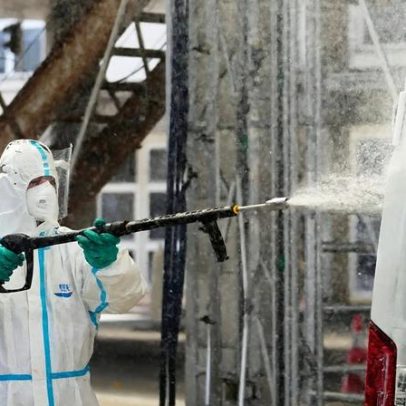 Febre aftosa em Chipre deixa criadores de gado preocupados