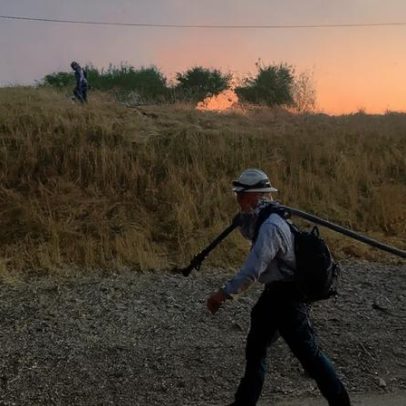 Risco de incêndios florestais aumenta em vários países simultaneamente
