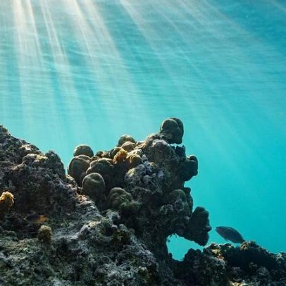 EUA estudam indenizações climáticas para ilha grande, impacto na indústria