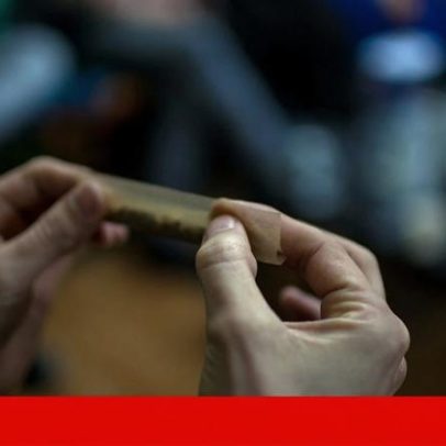 Portugal tem menos consumidores de cannabis, mais uso problemático em mulheres
