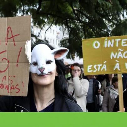 Manifestação em Lisboa contesta as mega centrais solares da Beira