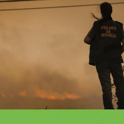 Fusão das carreiras de guarda-florestal, vigilantes e guarda-rios avança
