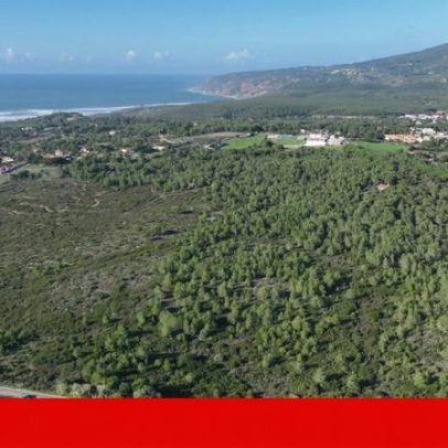 Câmara de Cascais e vendedor chegam a acordo sobre terreno para parque urbano
