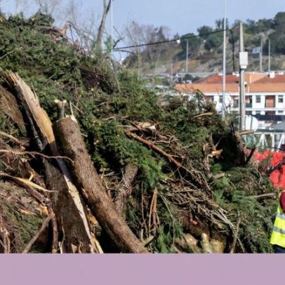 Guia para explicar temas complexos de forma simples às crianças