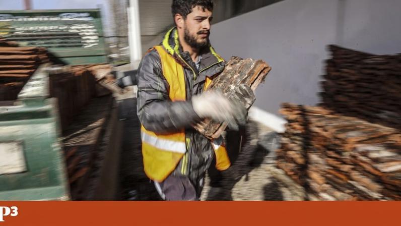 Voluntários de Aveiro entregam telhas em Pombal