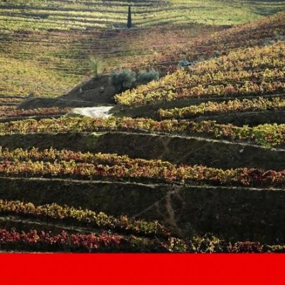 Populismo na Assembleia celebra vinho do Porto