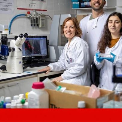 Cientistas portugueses estudam mentol e ibuprofeno no tratamento do cancro
