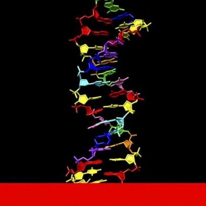 Legislação apresentada para controlar venda de ADN sintético nos EUA