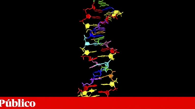 Estrutura em dupla hélice do ADN construída artificialmente