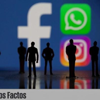 Animais e likes: como Chega mobiliza redes sociais
