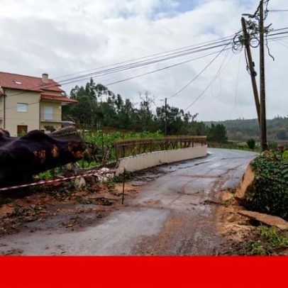 Energia e comunicações defendem trabalho realizado; Marcelo ataca operadoras