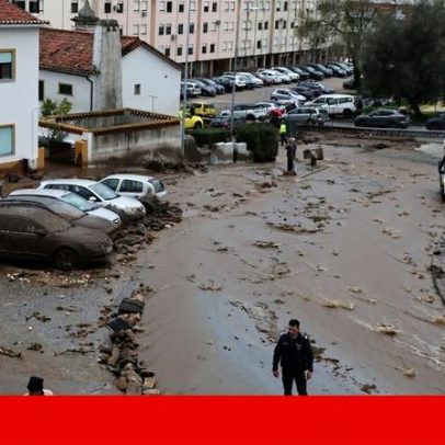 Água, lama e pedras da Serra de São Mamede danificam dezenas de carros