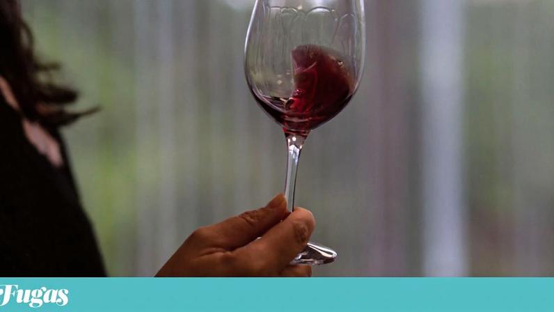 “A Castelão é a nossa Pinot Noir”