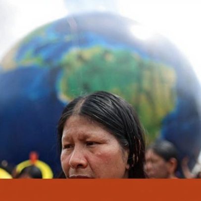 Crise ambiental é também uma crise de conhecimento