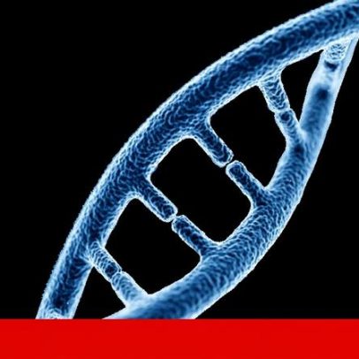 Vida na Terra partilha antepassado comum que viveu há 4 mil milhões de anos