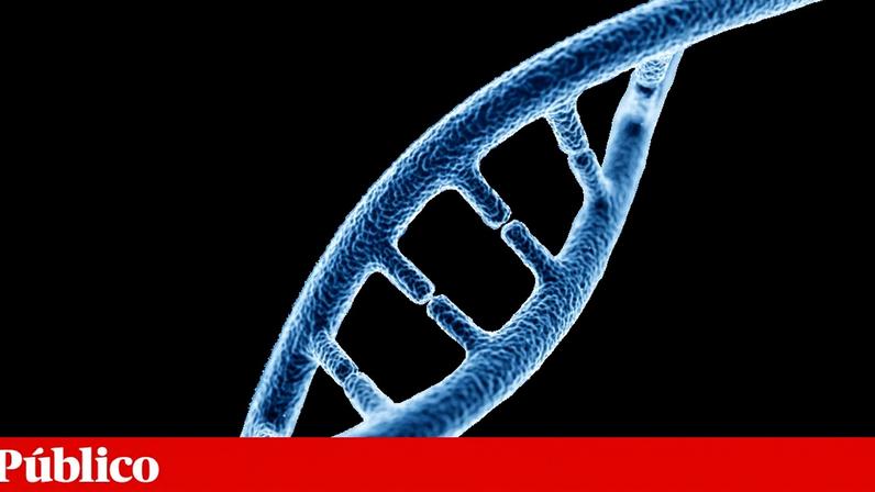 O genoma humano tem mais de três mil milhões de pares de bases e alguns remetem-nos para há milhares de milhões de anos