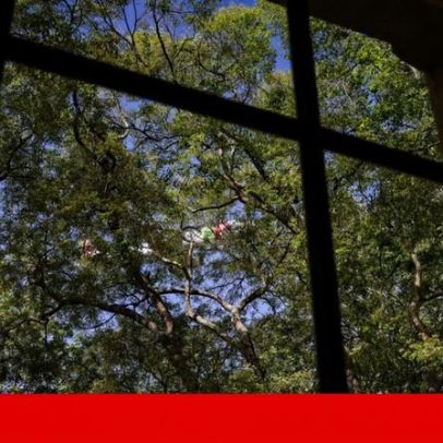 388 vagas para desinstitucionalizar pessoas com doença mental