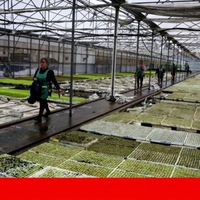 Apoio a famílias afetadas pela tempestade pode chegar até 1074 euros por pessoa