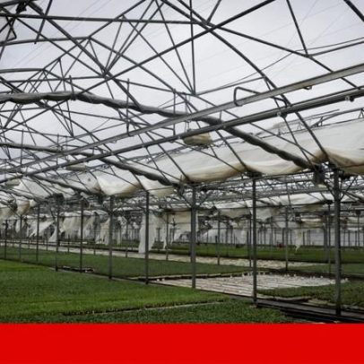 Mau tempo: PIB pode resistir no curto prazo, mas cicatrizes ameaçam futuro