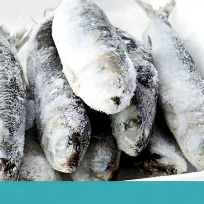A sardinha é o peixe mais valioso entre os nossos, ainda por reconhecer