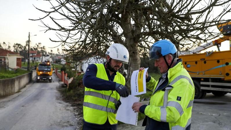 Linhas de baixa tensão foram danificadas pela tempestade Kristin, em Leiria