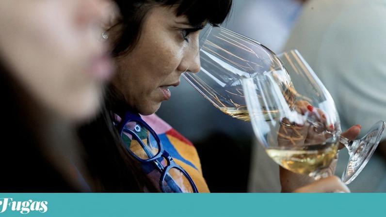 Portugal participa na Wine Paris 2026 com mais de 250 produtores de vinho nacionais