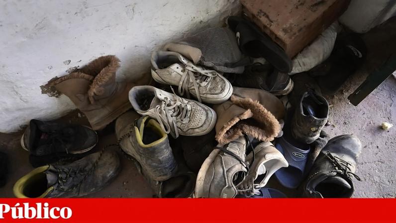 Das 22 pessoas arguidas, cinco são portuguesas e as restantes são de diversas nacionalidades estrangeiras