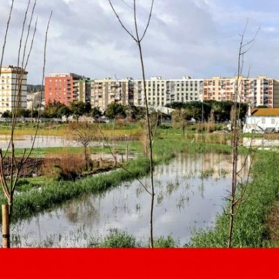 Setúbal permanece ilesa em cheias: parque funciona como bacia de retenção
