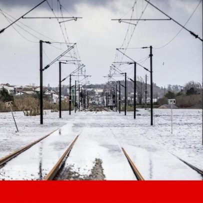 Governo diz que 143 empresas solicitaram layoff simplificado e apoio salarial