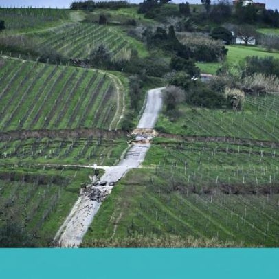 Mil hectares de vinha submersos no Tejo e vinhedos caídos em Lisboa