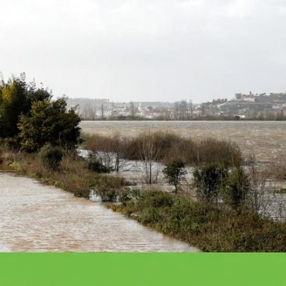Níveis do Mondego em Montemor-o-Velho baixam, mas situação continua crítica