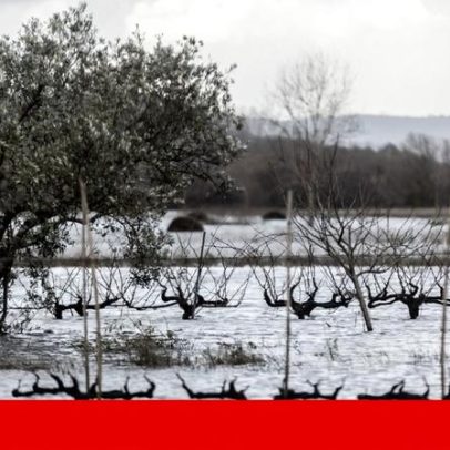 Prejuízos na agricultura podem chegar a mil milhões de euros