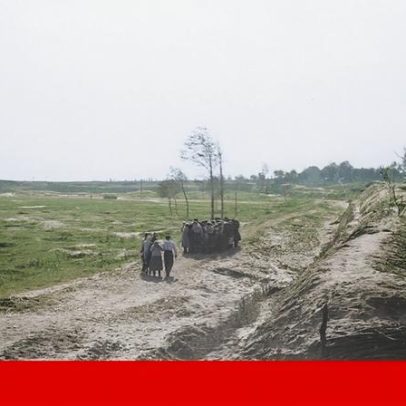 Figura pública afirma estar ao lado dos troianos