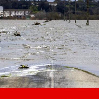 Alerta de cheias no Rio Tejo baixa para amarelo após descida dos caudais