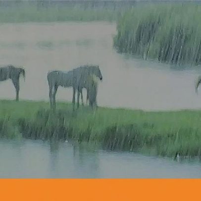 Chuva dispersa em várias regiões com previsões de continuidade