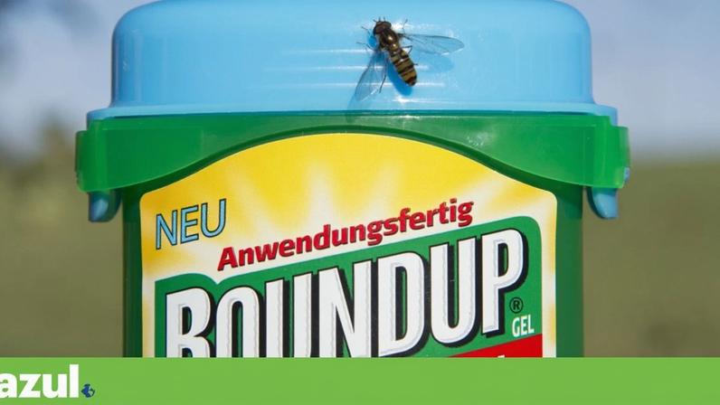 O herbicida Roundup, que contém glifosato, é alvo de processos na justiça há anos, por suspeita de ser cancerígeno