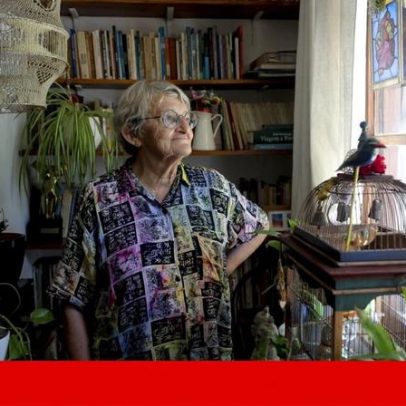 Morre Lieve Meersschaert, fundadora do Moinho da Juventude na Cova da Moura