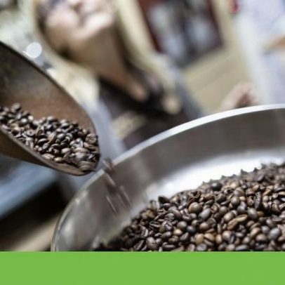 Estresse térmico no café: piora qualidade, eleva custos e vulnerabilidade