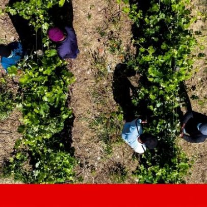 Contribuições de estrangeiros para a Segurança Social sobem 8,5 vezes desde 2015