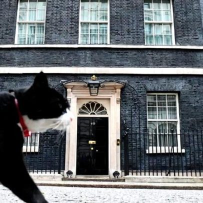 Palmerston entre 2014 e 2026 — vida marcada por realizações