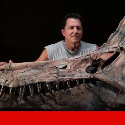 Descoberta no deserto do Sara revela nova espécie de dinossauro gigante