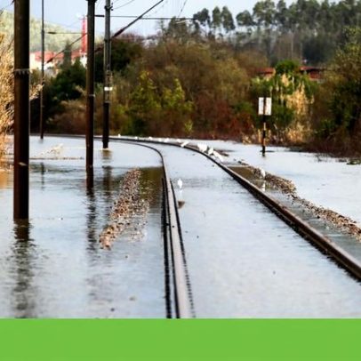 Governo reúne medidas de água e florestas no programa de recuperação